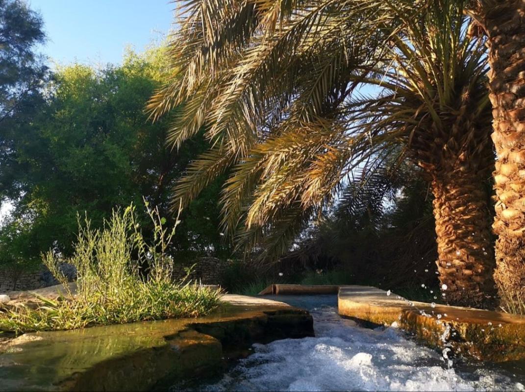 Ahmed Safari Camp Hotel Bawati Kültér fotó
